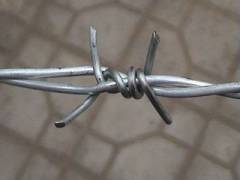 Traditional Twist Barbed Wire