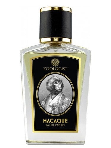 Zoologist Macaque