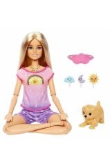 Barbie Meditasyon Yapıyor Oyun Seti Lisanslı - Hhx64