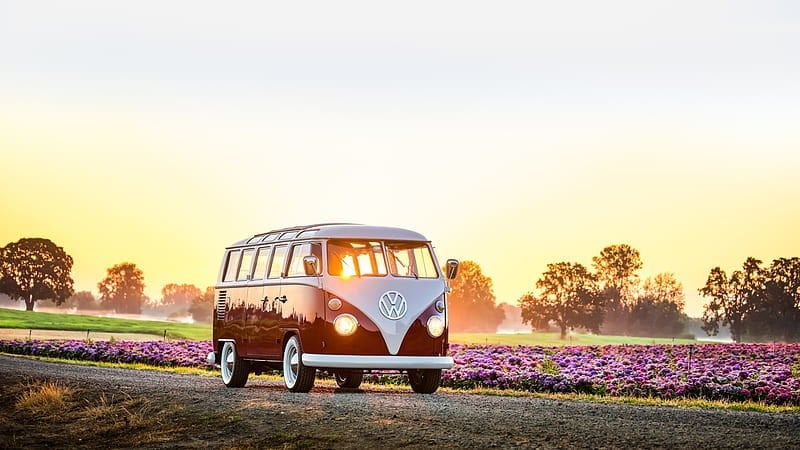 VW Bus T2