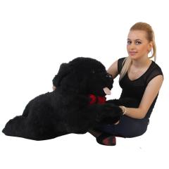 Saint Bernard Siyah Peluş 90 cm