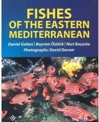 Fishes Of The Eastern Mediterranean