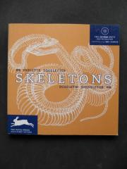 Skeletons + CD Rom (Pepin Press)