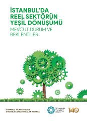 İstanbul'da Reel Sektörün Yeşil Dönüşümü Mevcut Durum ve Beklentiler