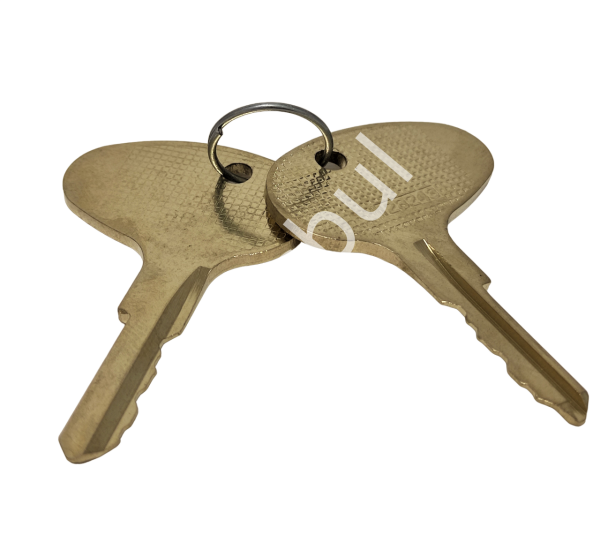 Cat 9120514920 Kontak Anahtarı Set / Key Set / Oem