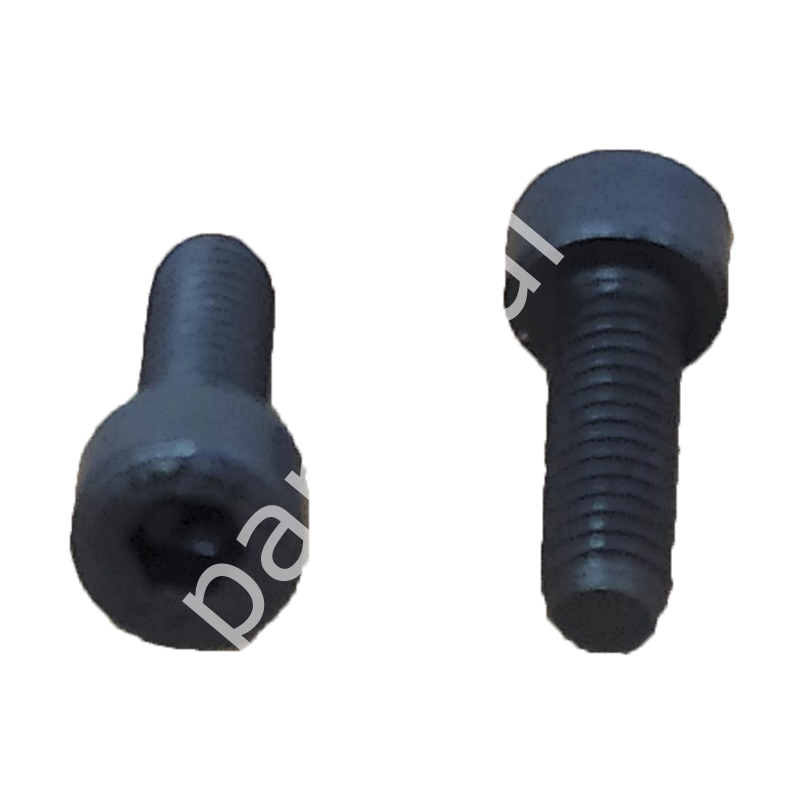 Yale 580092732 Cıvata / Screw