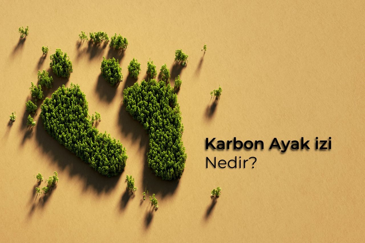 Karbon Ayak İzi Nedir?