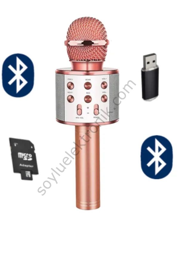 Anunnaki Bluetooth Hoparlör Hafıza Kartı Usb Aux Giriş Destekli Siyah Karaoke Mikrofon