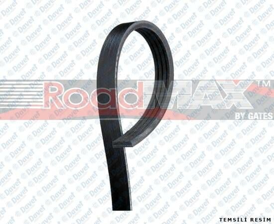 KANALLI KAYIS OPEL SIGNUM VECTRA C 2.0 2.2DTI VW PASSAT 2.8 V6 97-05 TERIOS 06- POLO 1.2 6V 12V 01-05 AUDI 02-05 SEAT SKODA 6PK1880 ####