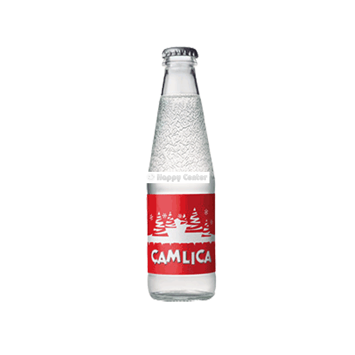 Çamlıca Gazoz 250 ml