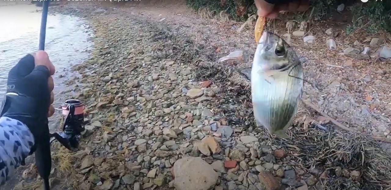 Hanfish Zıpır KG - Sezonun ilk Çupra avı