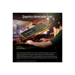 Transcend TS4TMTE250S 4TB 7500/6700MB/s PCIe Gen4x4 NVme 3D 2280 TLC M.2 SSD