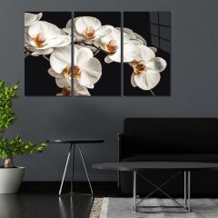 Veraart Doğa 3 lü Set Pleksi Cam Tablo Beyaz Orkideler