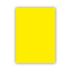 Bigpoint Fon Kartonu 50x70cm 160 Gram Limon Sarısı 100'lü Paket