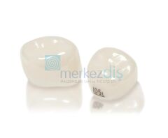 First Primary Regular Molar Pediatrik Zirkon Kron Evaluation Kit 16'lık