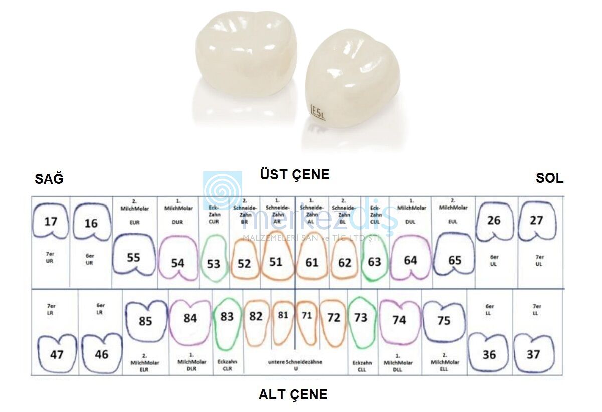 Second Primary Molar Pediatrik Zirkon Kron Refill