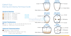 Celtra Duo Incisal Stain1 Pasta 5 gr