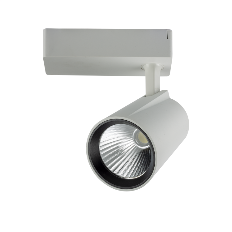 40W Beyaz Kasa Lyon LED Ray Spot