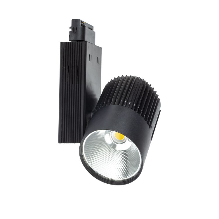 40W Siyah Kasa Colmar LED Ray Spot