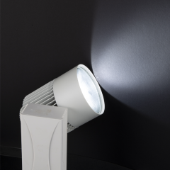 40W Beyaz Kasa Colmar LED Ray Spot
