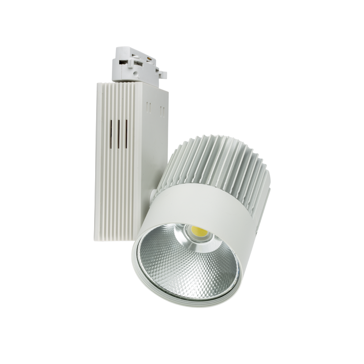 40W Beyaz Kasa Colmar LED Ray Spot