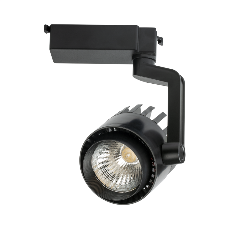 35W Siyah Kasa Marsilya LED Ray Spot