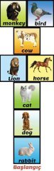 Sek sek Oyunu İngilizce Hayvanlar