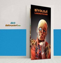 Biyoloji Laboratuvarı Kapı Giydirme