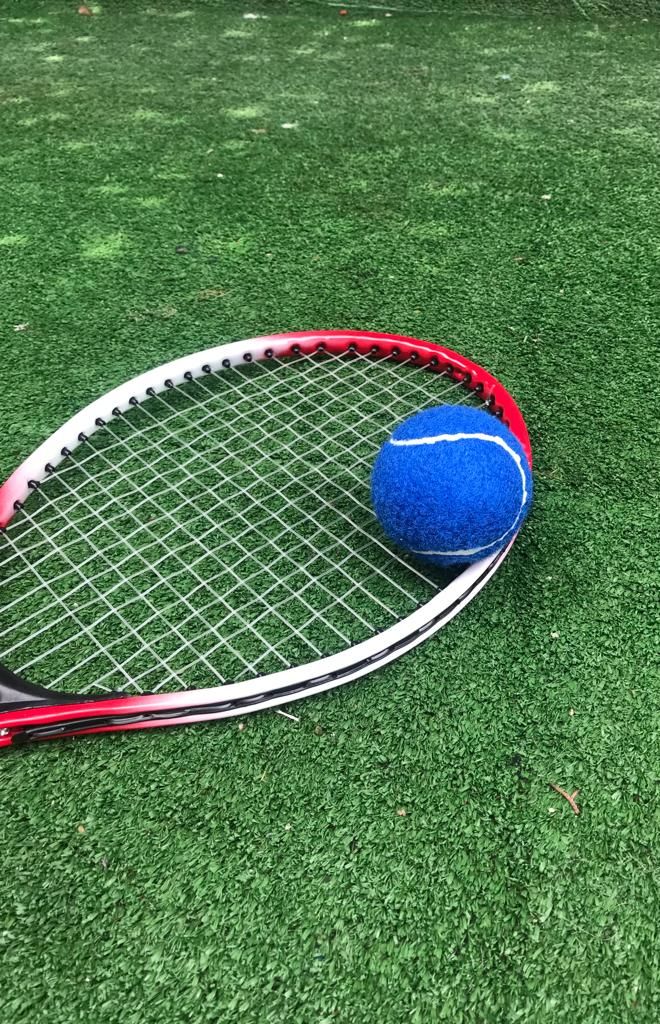 Werkon 1 Adet Antrenman Tenis Topu Mavi