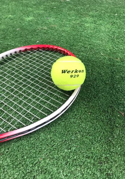 Werkon 1 Adet Antrenman Tenis Topu Sarı