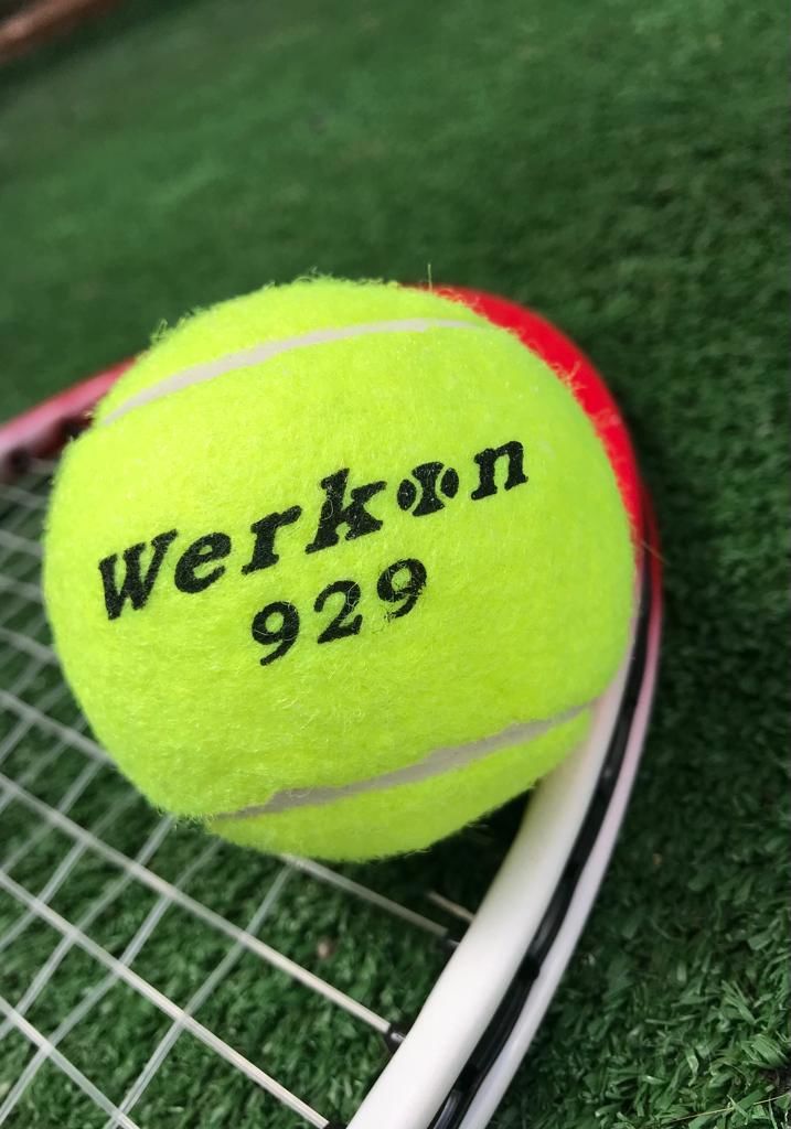 Werkon 2 Adet Sarı Tenis Topu Antrenman Tenis Topu