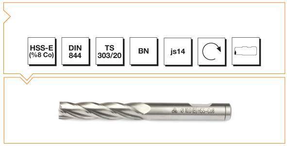 Parmak freze 10 mm uzun MTE