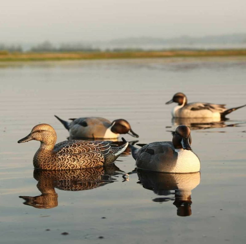 GreenHead Gear Kıl Kuyruk Mühresi Takımı