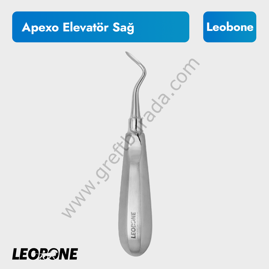 Apexo Elevatör - Sağ