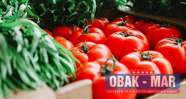 Çekmeköy Obak Market- Uygun Fiyatlı ve Kaliteli Ürünlerin Tek Adresi