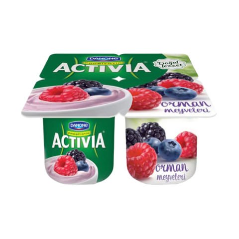 Activia 4X100Gr Orman Meyveleri