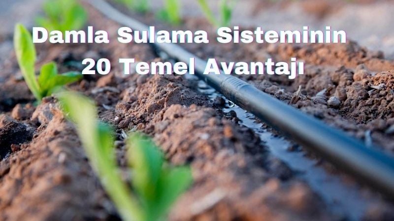 Damla Sulama Sisteminin 20 Temel Avantajı