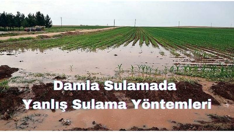 Damla Sulamada  Yanlış Sulama Yöntemleri