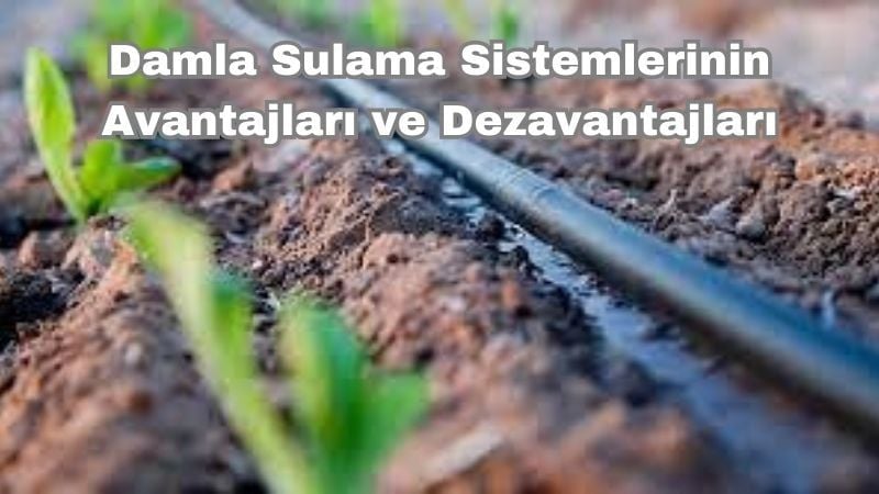 Damla Sulama Sistemlerinin Avantajları ve Dezavantajları