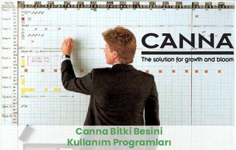 Canna Bitki Besini Programı