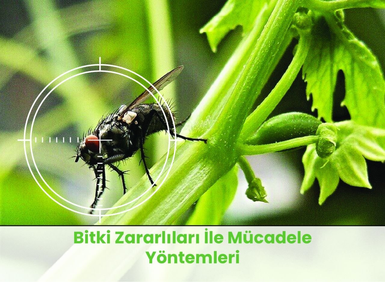 Bitki Zararlıları İle Doğal Mücadele Yöntemleri