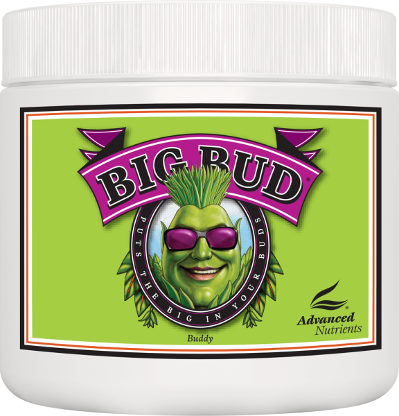 Advanced Nutrients Big Bud Powder 500g