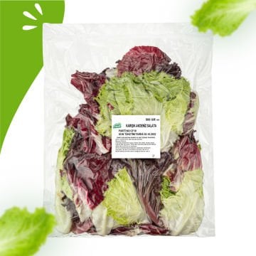 Karışık Akdeniz Salata 500 g