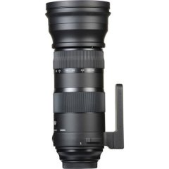 Sigma 150-600mm F5-6.3 DG OS HSM Sports Lens