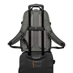 Lowepro Truckee BP 250 LX (Black)