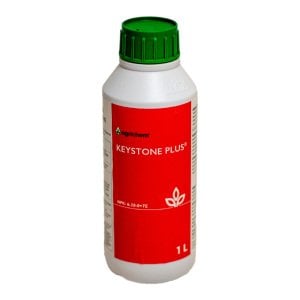 Keystone Plus 6.20.0+Te 500Cc