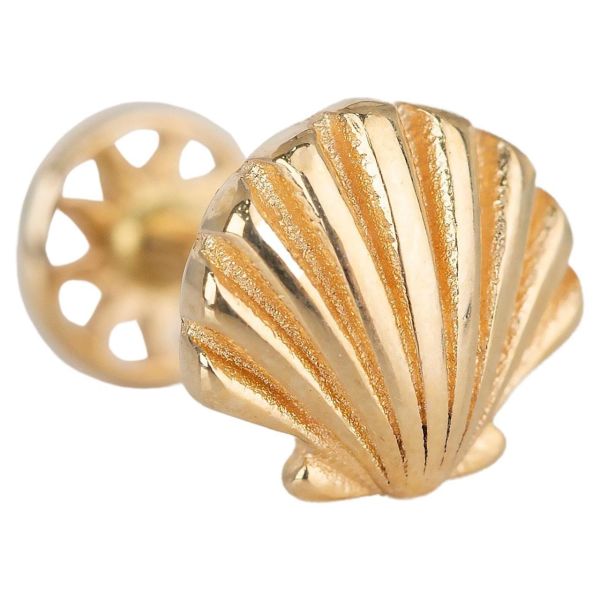 İstiride - Shell Model Altın Piercing