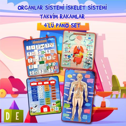 4 Set - 151 Parça  İskelet , İç Organlar Sistemi , Takvim ve Raka