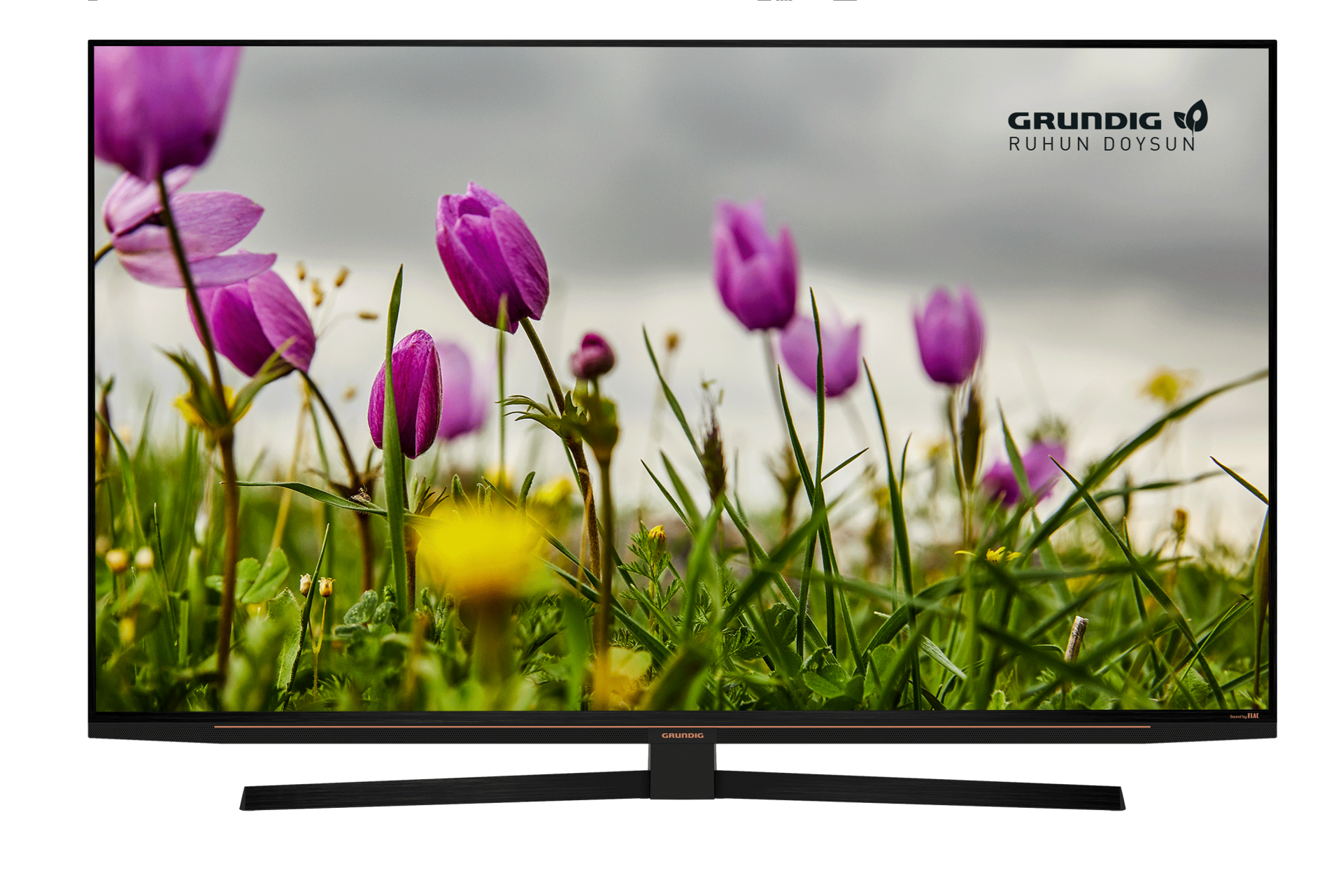 Grundig MADRID 65 GEU 8965 B 4K UHD Pro Televizyon