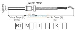 RT-M06-L030-K04 DALMA BOYU 30MM TÜP ÇAPI 6MM M12 KONNEKTÖRLÜ 4MT KABLOLU BAYONET PT-100 EMKO